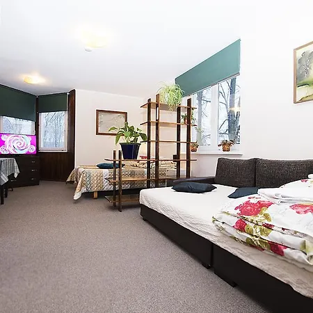 Drusva Apartamentai * Druskininkai