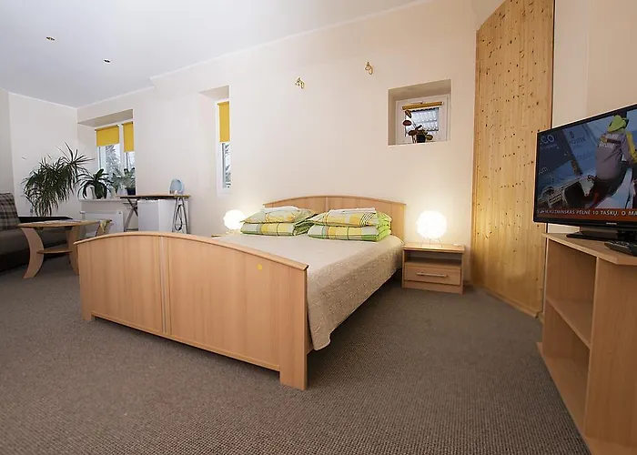 Apartamento Drusva Apartamentai Druskininkai